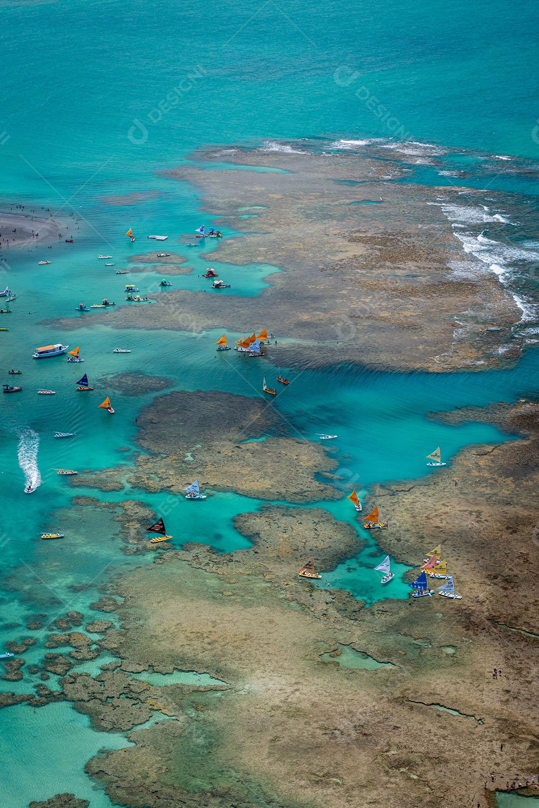 Piscinas Naturais Na Praia De Porto De Galinhas 2 Imagem JPG