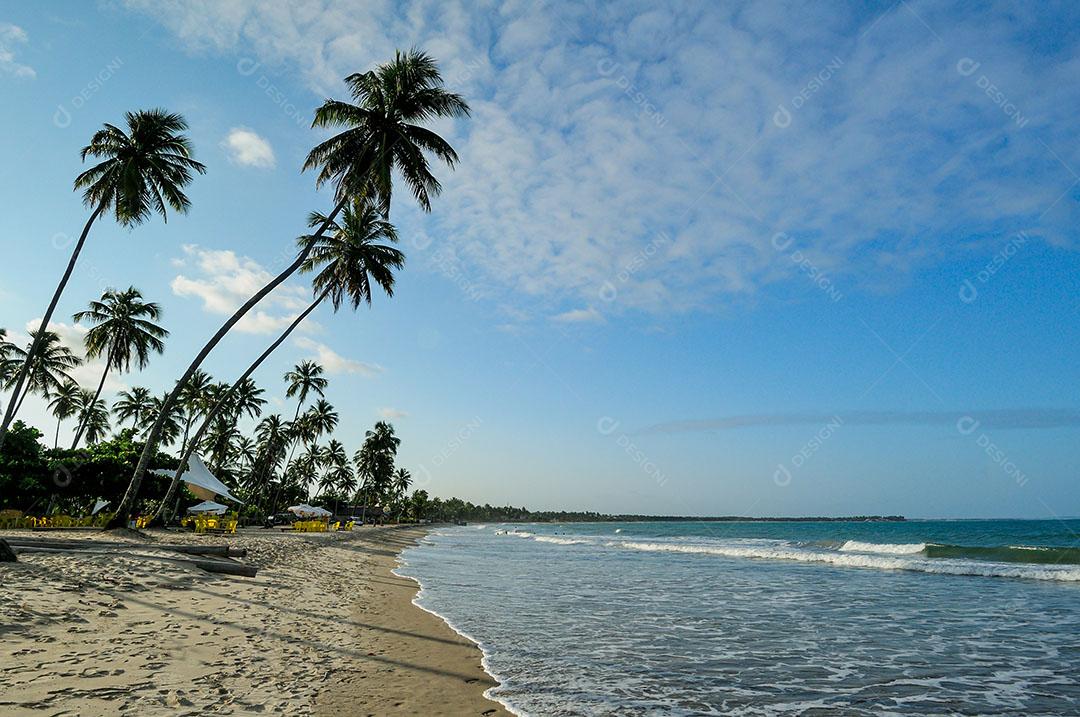 Piscinas Naturais  Na Praia De Porto De Galinhas Imagem JPG