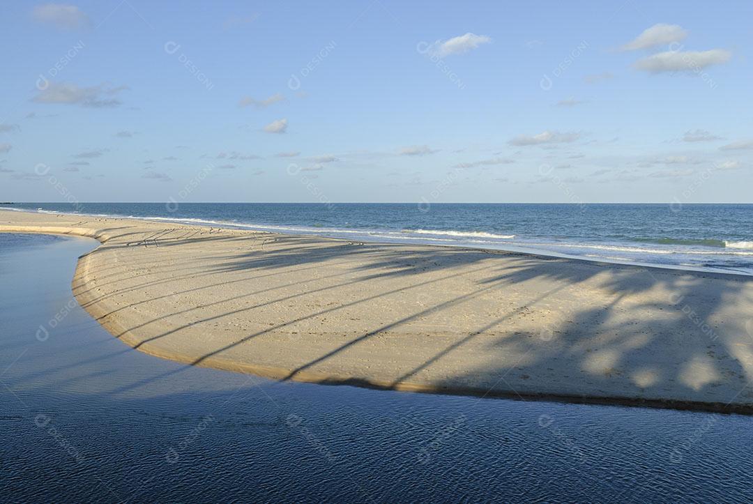 Praia Conde Near João Pessoa Paraíba Image JPG
