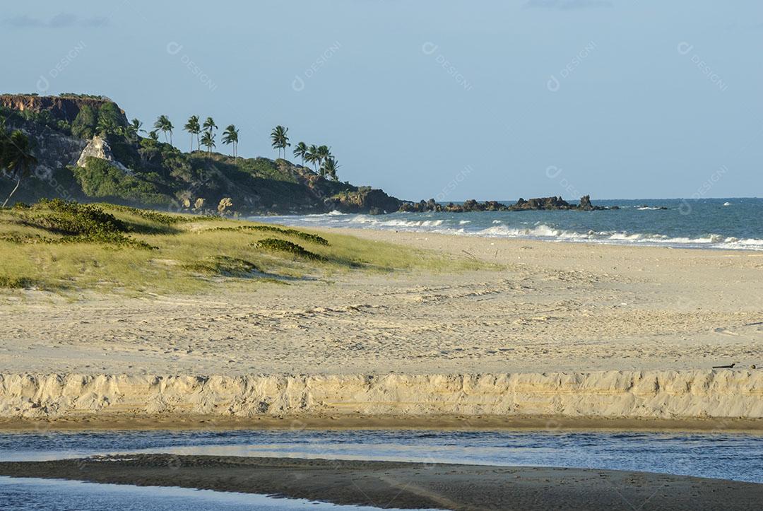 Praia Conde Perto De João Pessoa 7 Imagem JPG