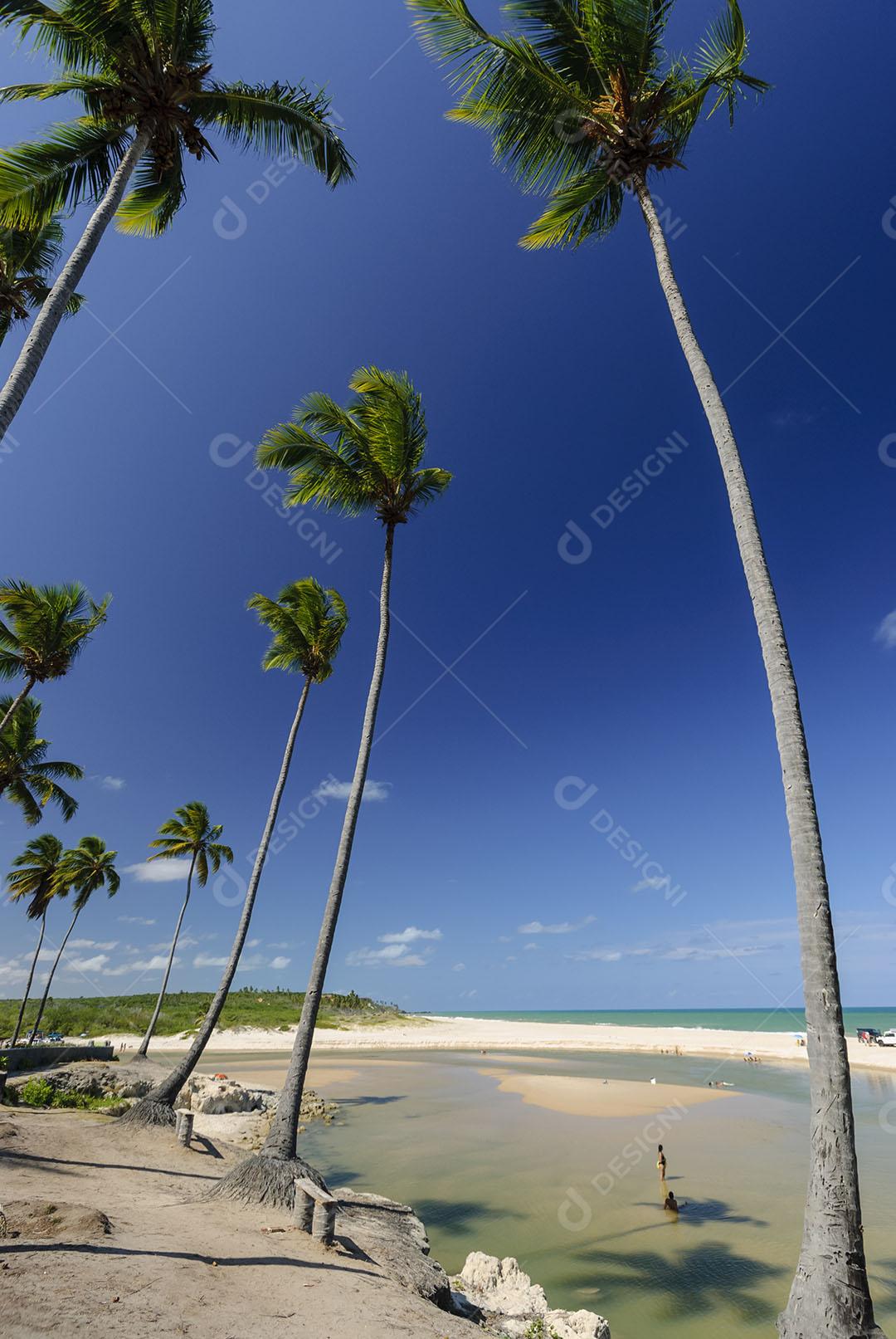 Praia Conde Perto De João Pessoa 4 Imagem JPG