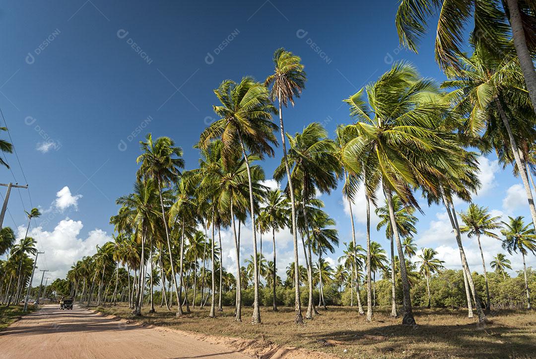 Bela Praia Conde Perto De João Pessoa Paraíba Brasil 6 Imagem JPG