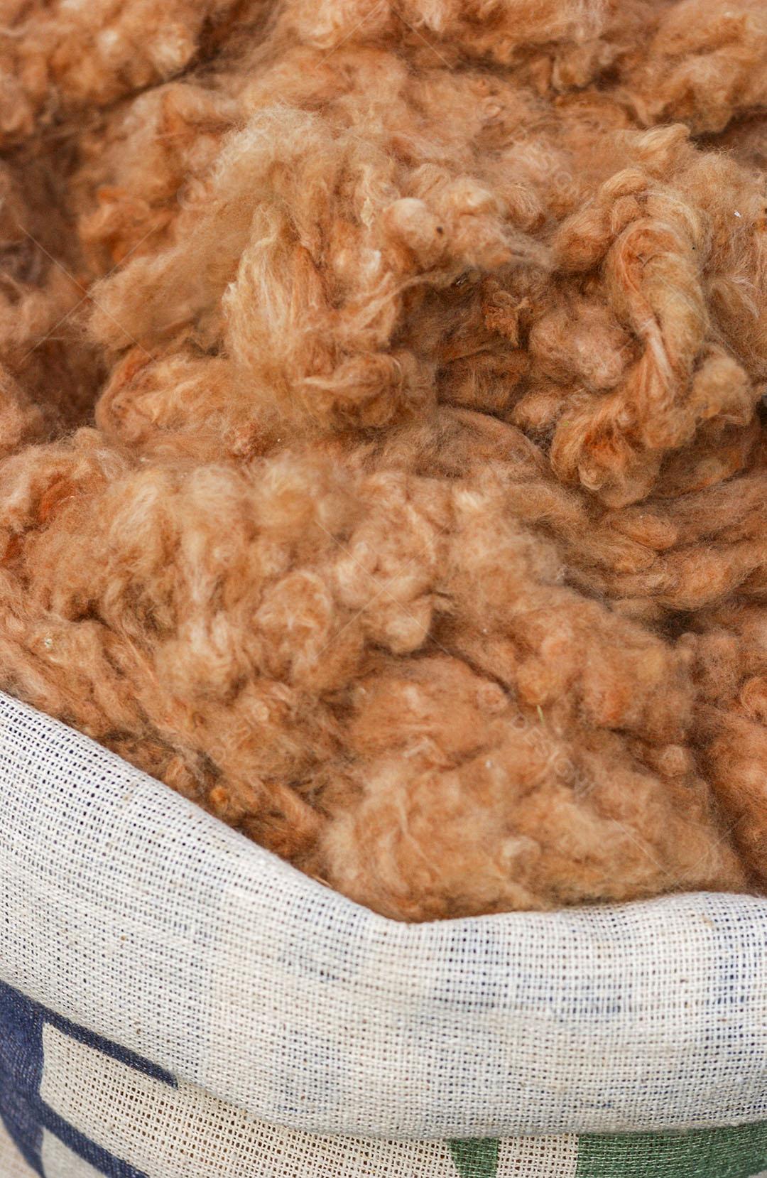 Algodão Naturalmente Colorido Orgânico E Agroecológico Imagem JPG