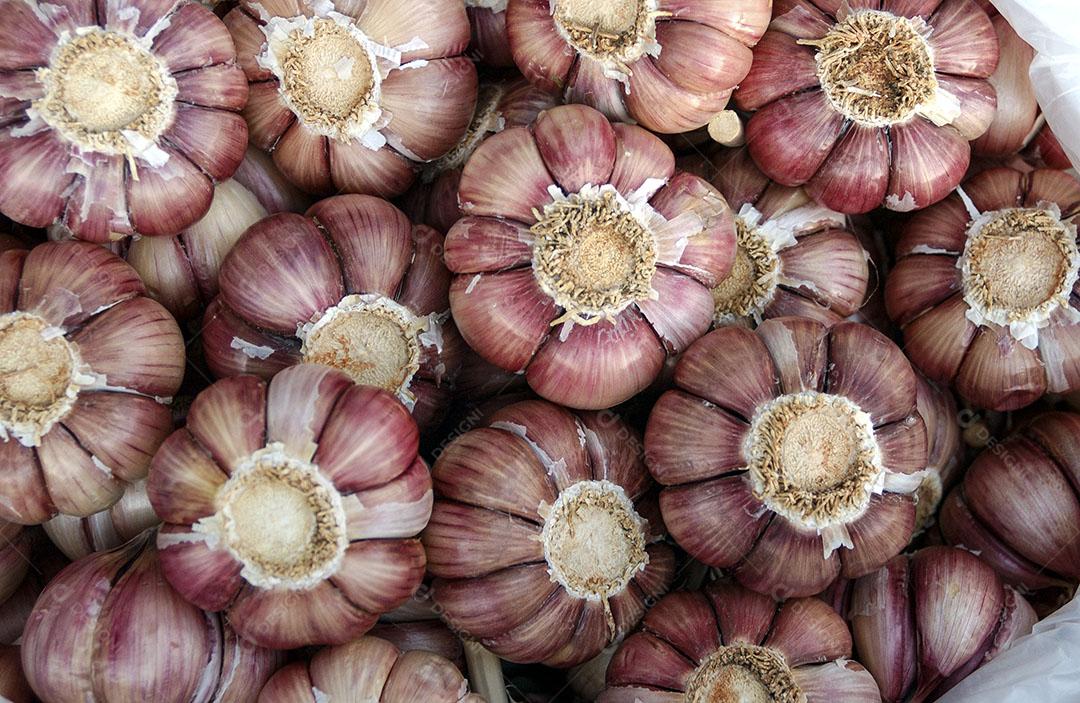 Alho Brasileiro Imagem JPG
