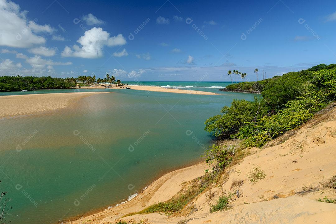 Foto Manguezal na Praia Barra de Camaratuba Próximo João Pessoa Paraíba Imagem JPG