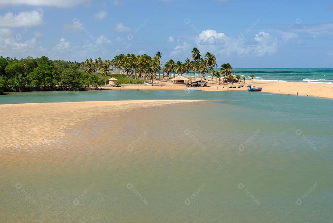 Foto Manguezal na Praia Barra de Camaratuba Próximo João Pessoa Paraíba Imagem JPG