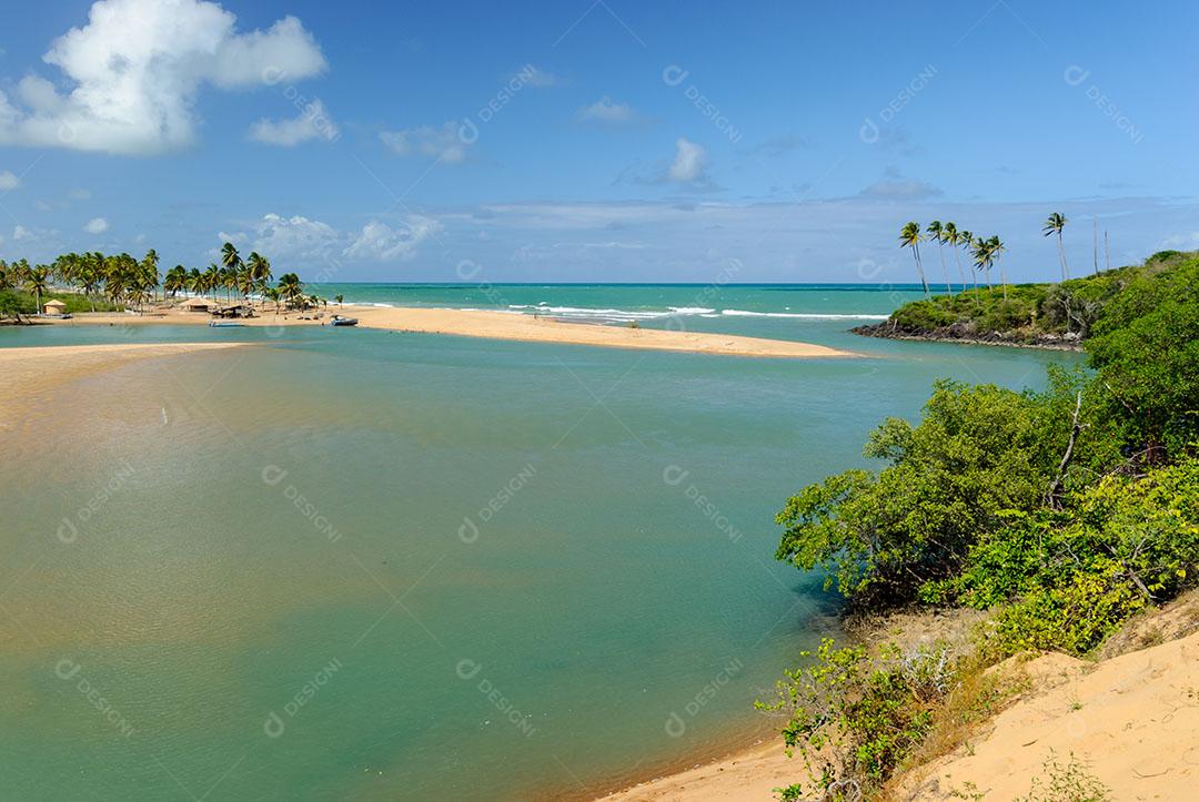 Foto Manguezal na Praia Barra de Camaratuba Próximo João Pessoa Paraíba Imagem JPG
