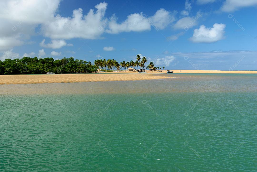 Foto Manguezal na Praia Barra de Camaratuba Próximo João Pessoa Paraíba Imagem JPG