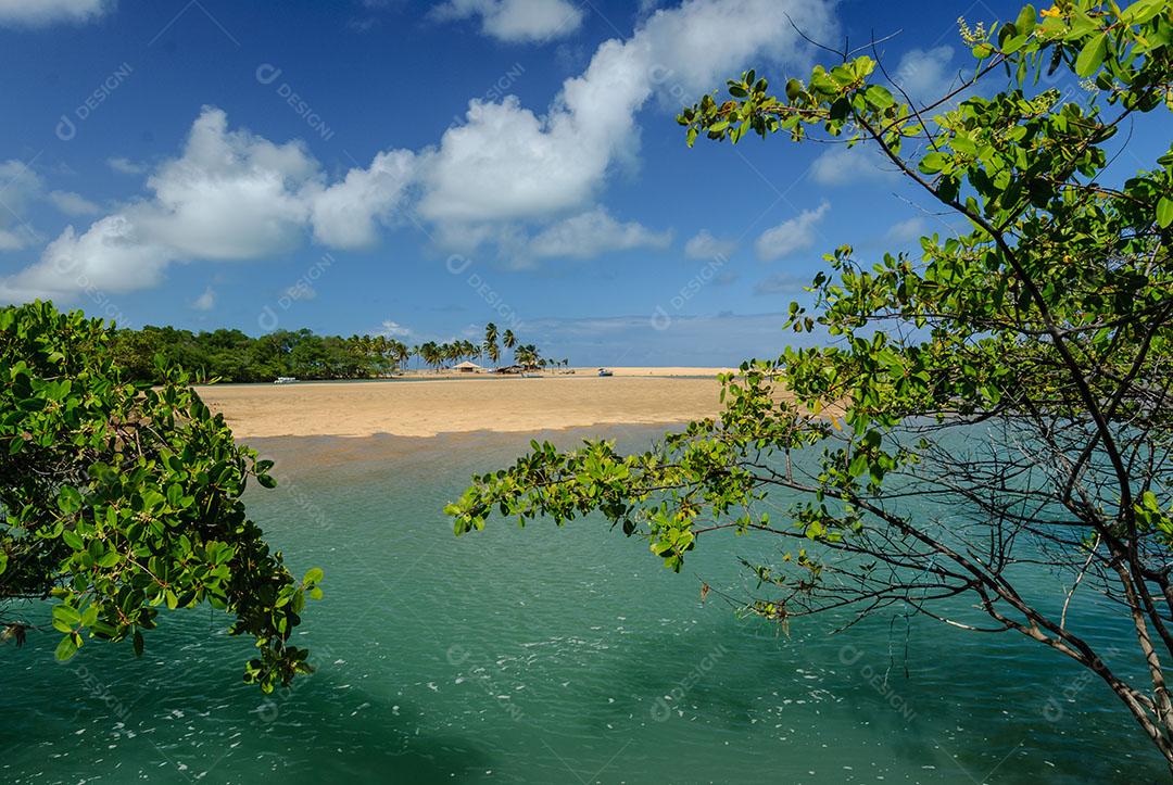 Foto Manguezal na Praia Barra de Camaratuba Próximo João Pessoa Paraíba Imagem JPG