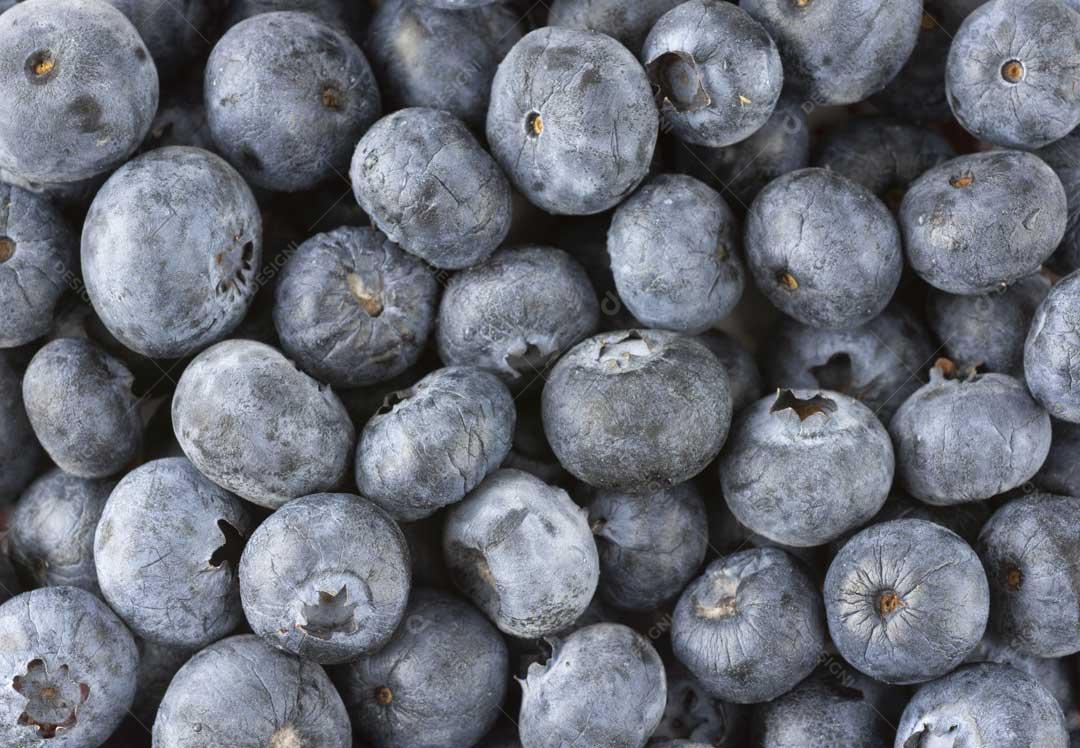 Foto Mirtilo Fruta Azul Imagem JPG
