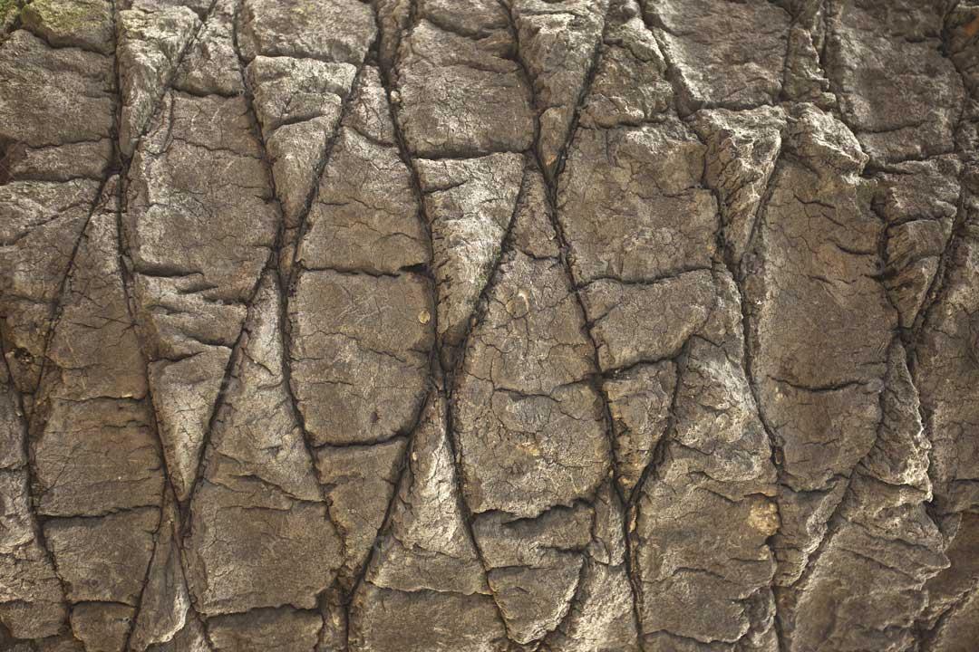 Foto Rachaduras Barro Barranco Buenos Aires Imagem JPG