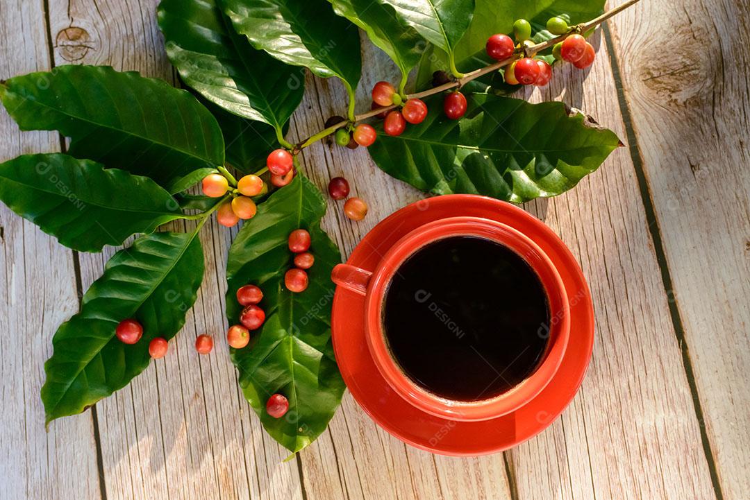 Xícara De Café Vermelha Com Folhas E Sementes De Café 5 Imagem JPG
