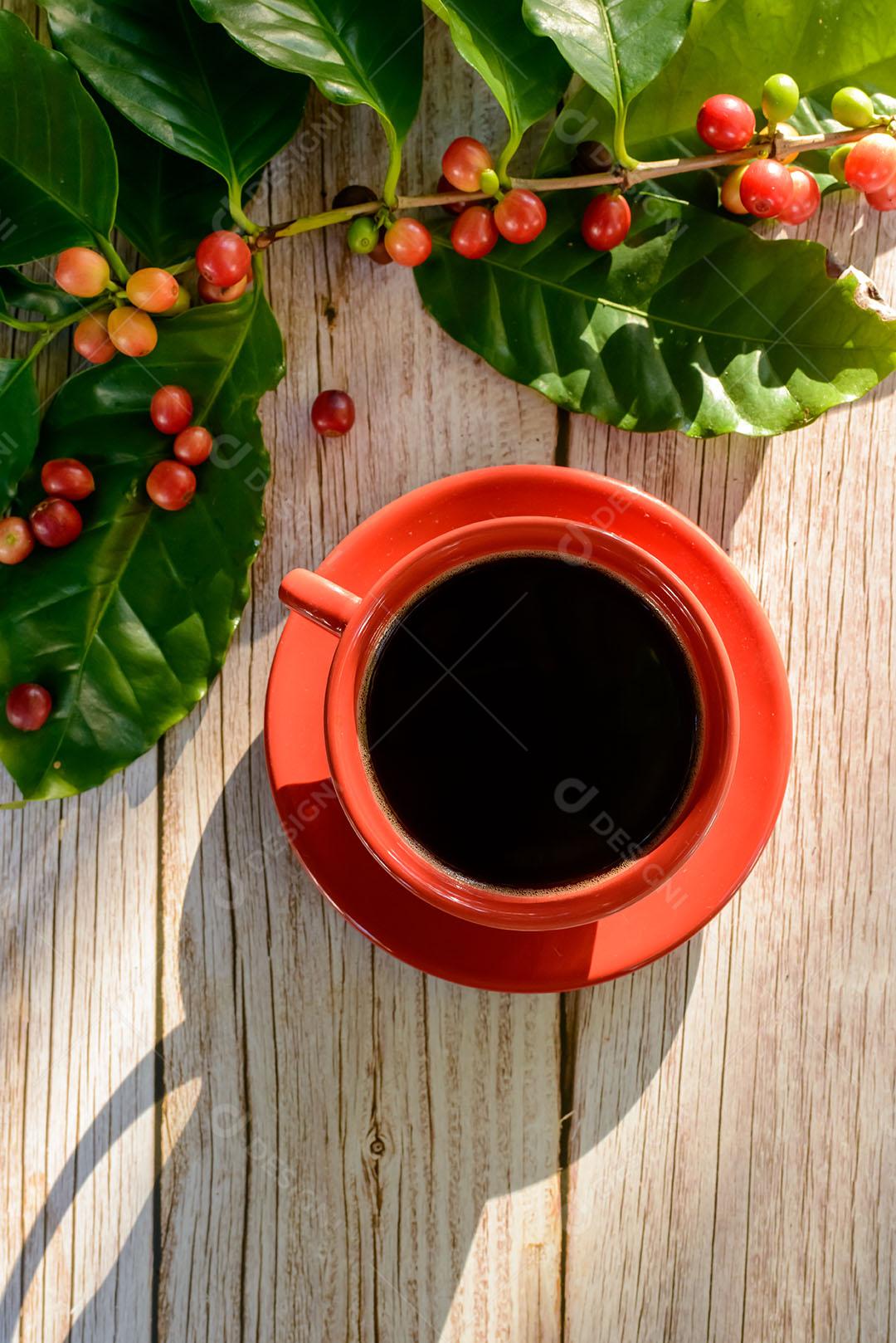 Xícara De Café Vermelha Com Folhas E Sementes De Café Imagem JPG
