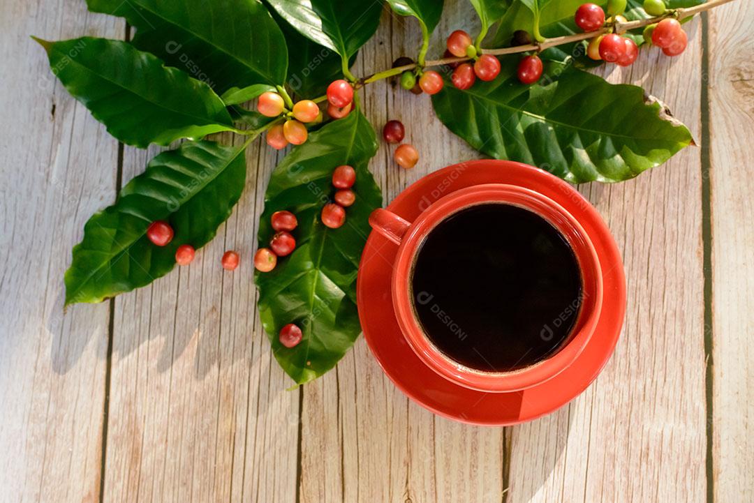 Xícara De Café Vermelha Com Folhas E Sementes De Café 7 Imagem JPG