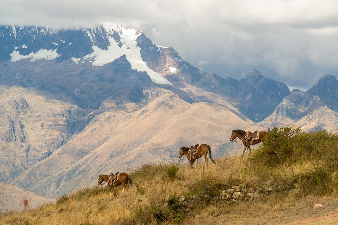 Montanhas Em Cordilheira Dos Andes Imagem JPG