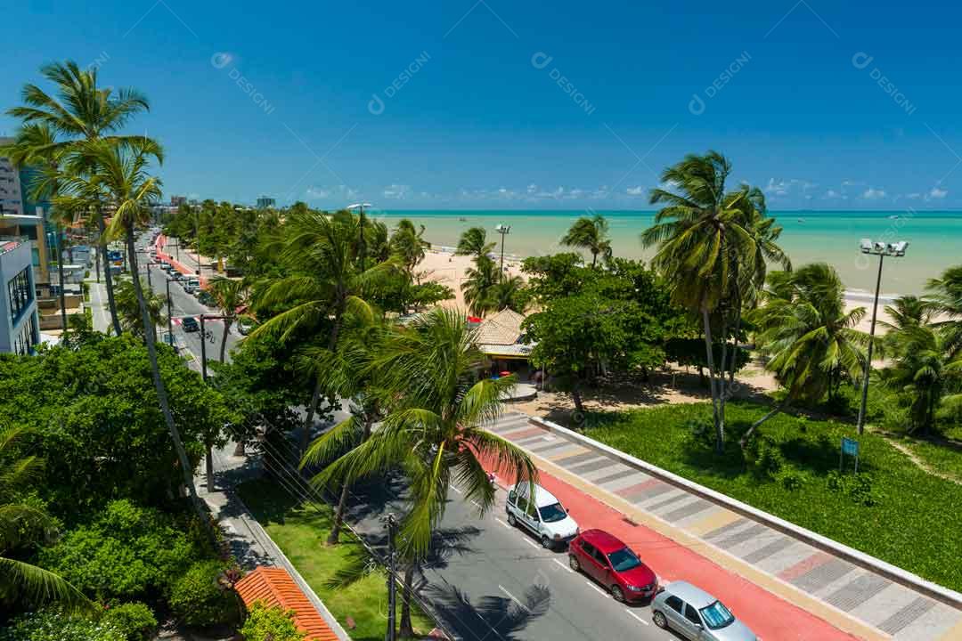 Joao Pessoa Paraiba Cidade Vista Da Praia Com Coqueiro Imagem JPG