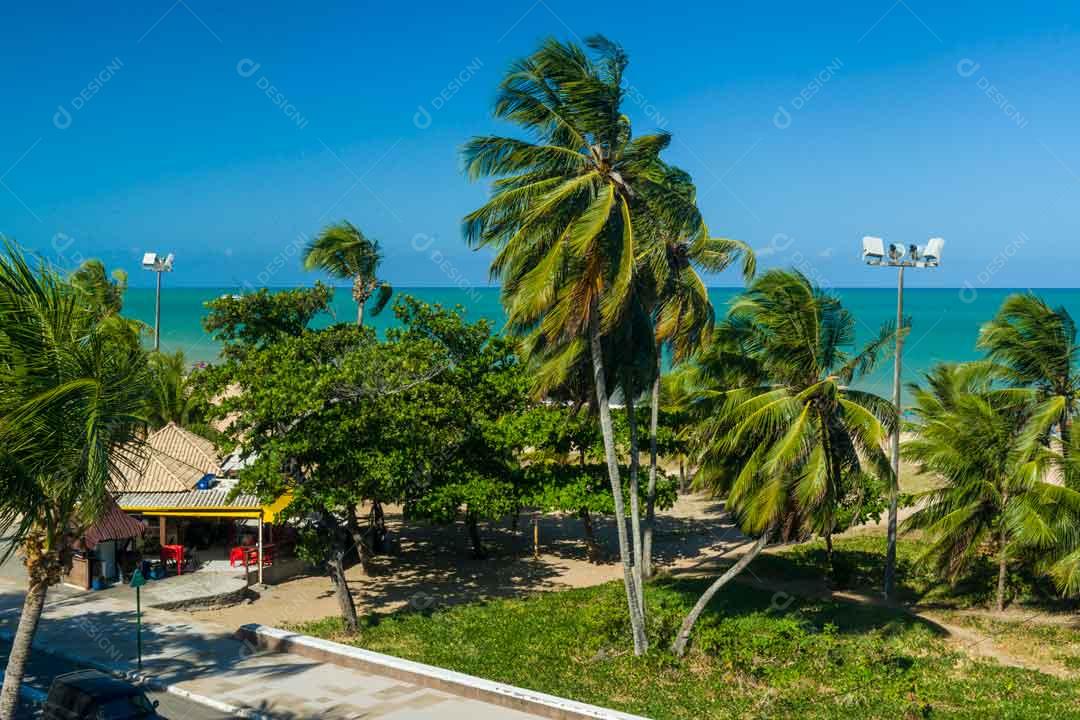 Joao Pessoa Paraiba Cidade Vista Da Praia Com Coqueiro Imagem JPG