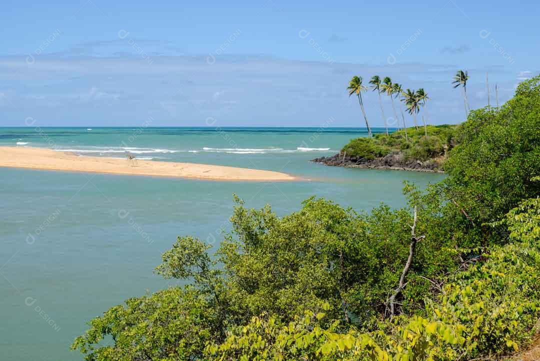 Manguezal na praia da Barra de Camaratuba, perto de João Pessoa JPG
