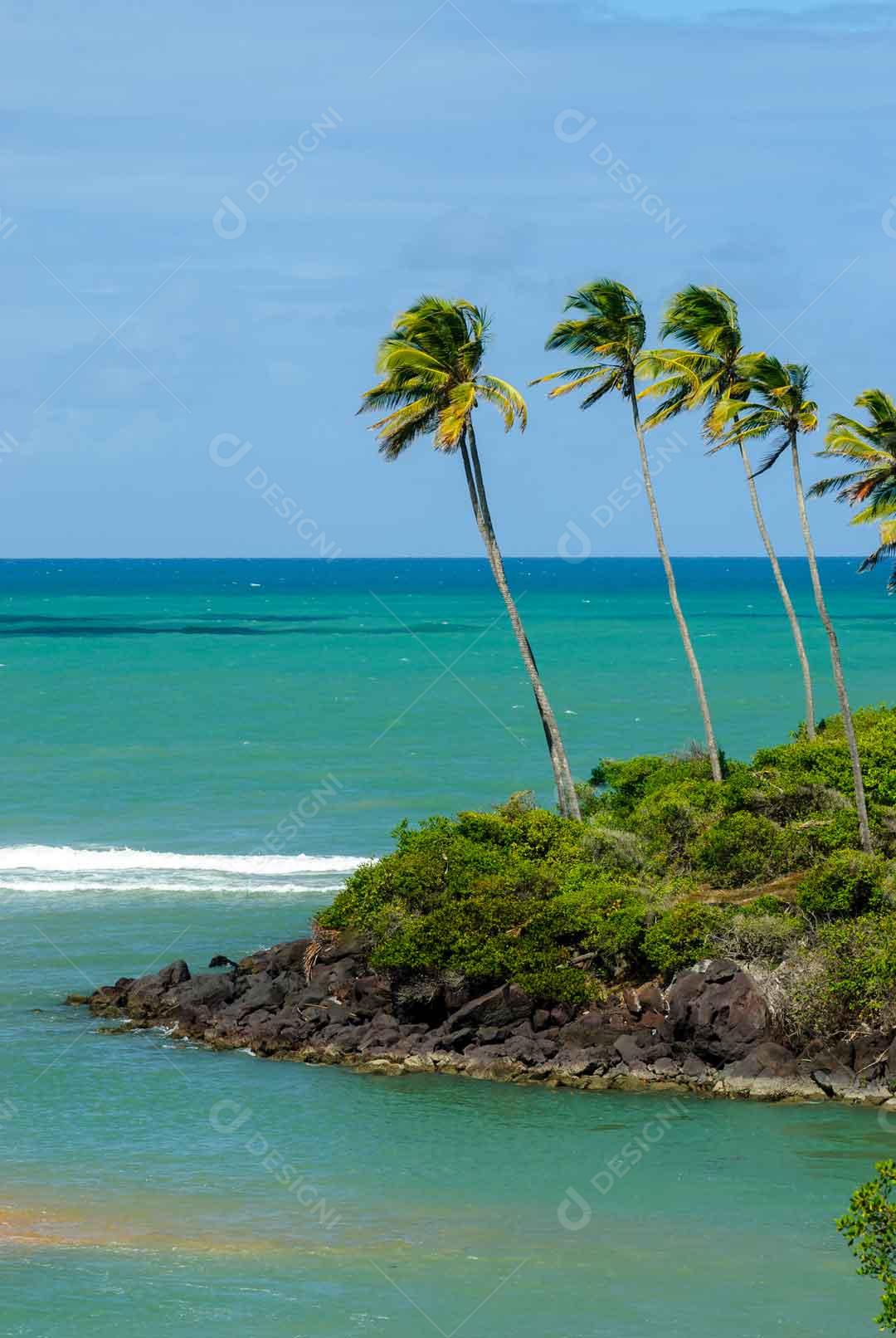 Manguezal na praia da Barra de Camaratuba, perto de João Pessoa JPG