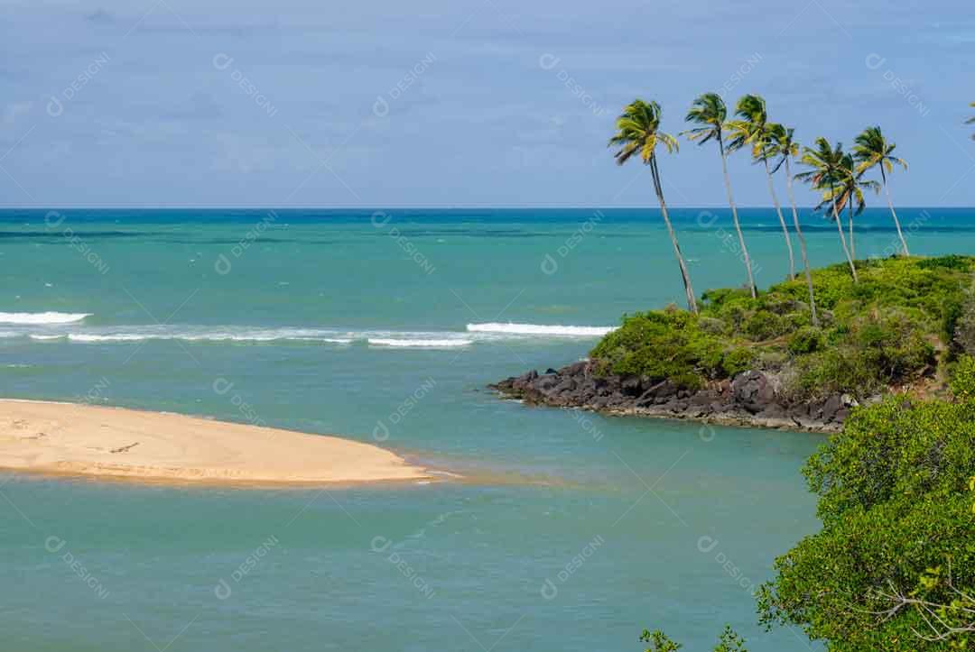 Mangrove swamp on Barra de Camaratuba beach, near João Pessoa JPG