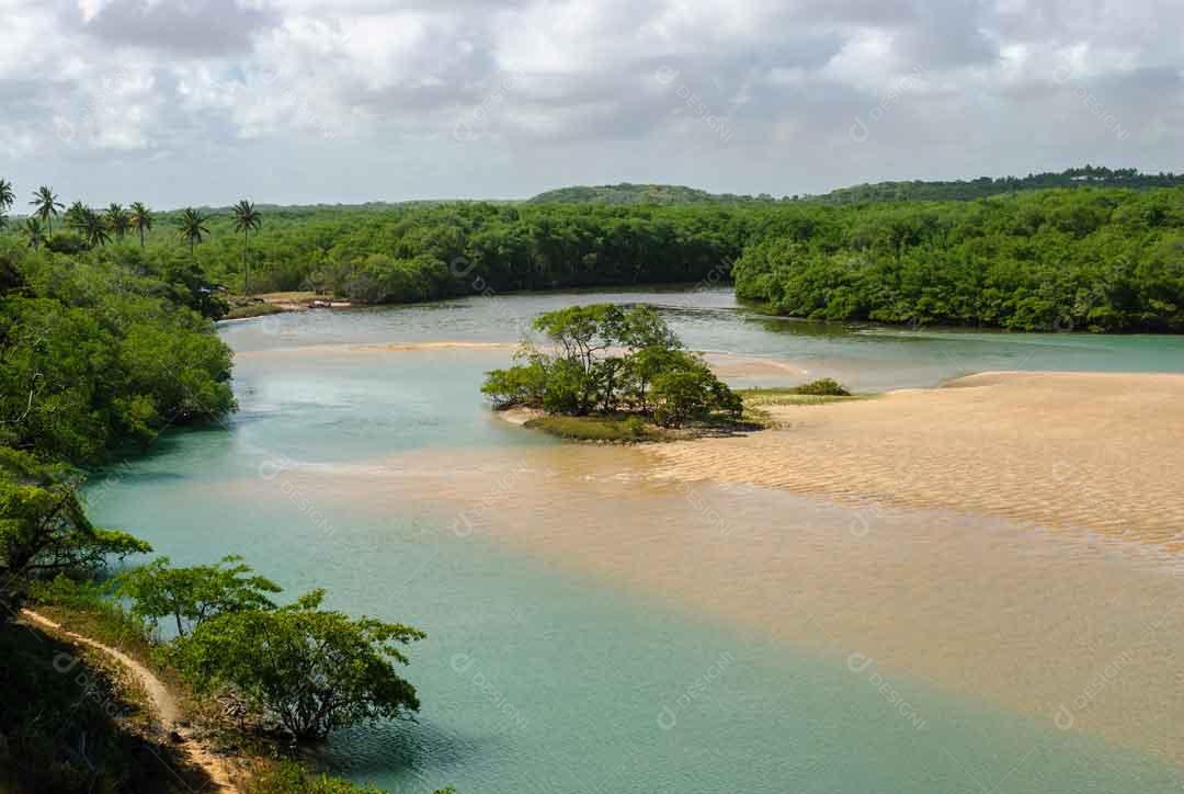 Manguezal na praia da Barra de Camaratuba, perto de João Pessoa JPG