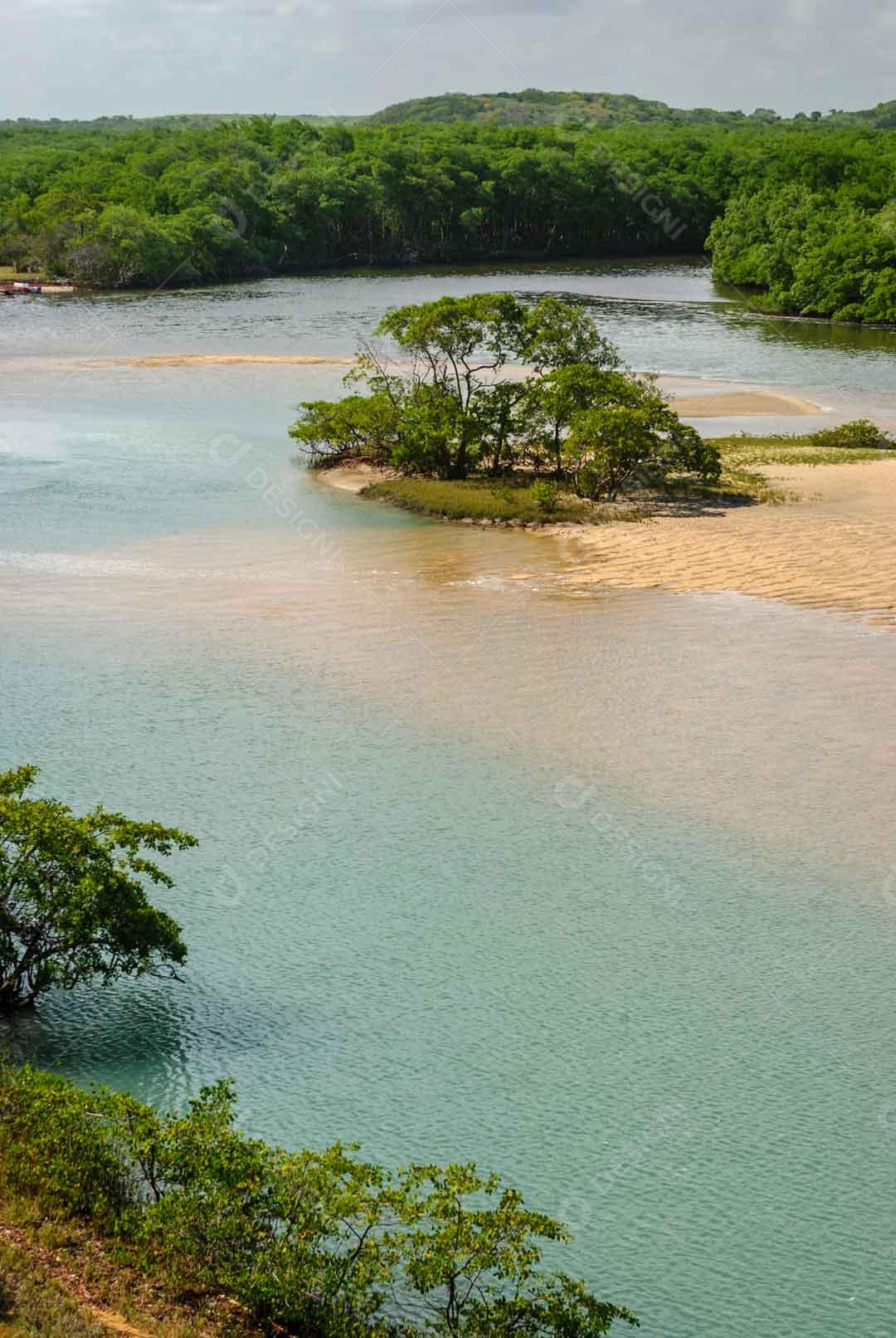 Manguezal na praia da Barra de Camaratuba, perto de João Pessoa JPG