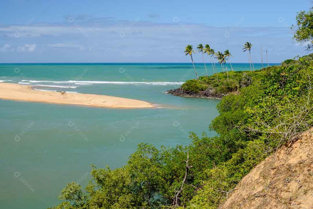 Manguezal na praia da Barra de Camaratuba, perto de João Pessoa JPG