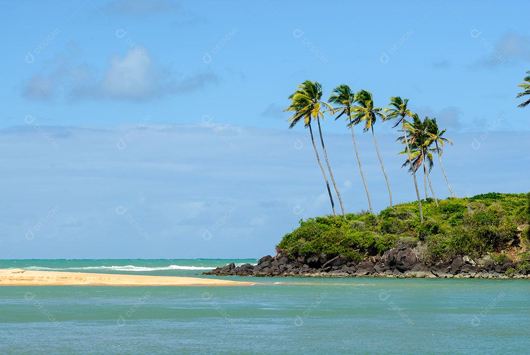Praia Da Barra Imagem JPG