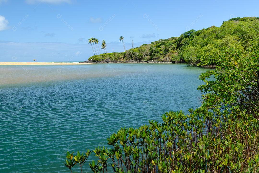 Praia Da Barra De Camaratuba Imagem JPG