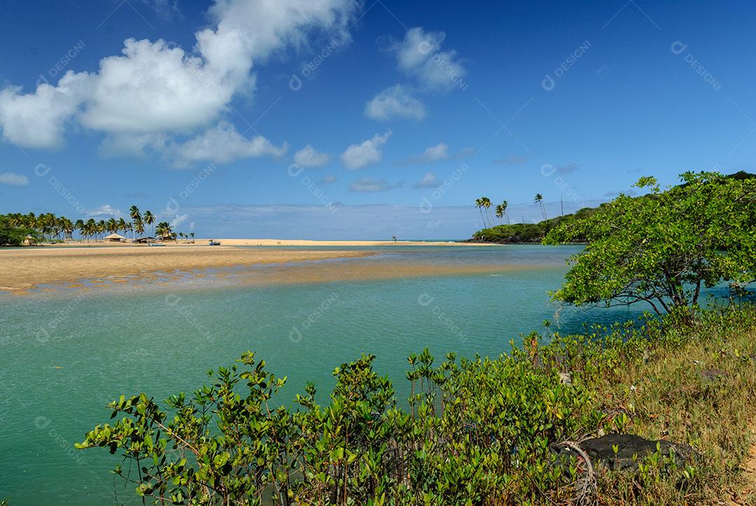 Praia Da Barra Imagem JPG