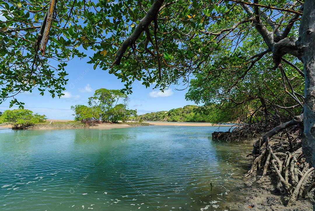 Praia Da Barra Imagem JPG
