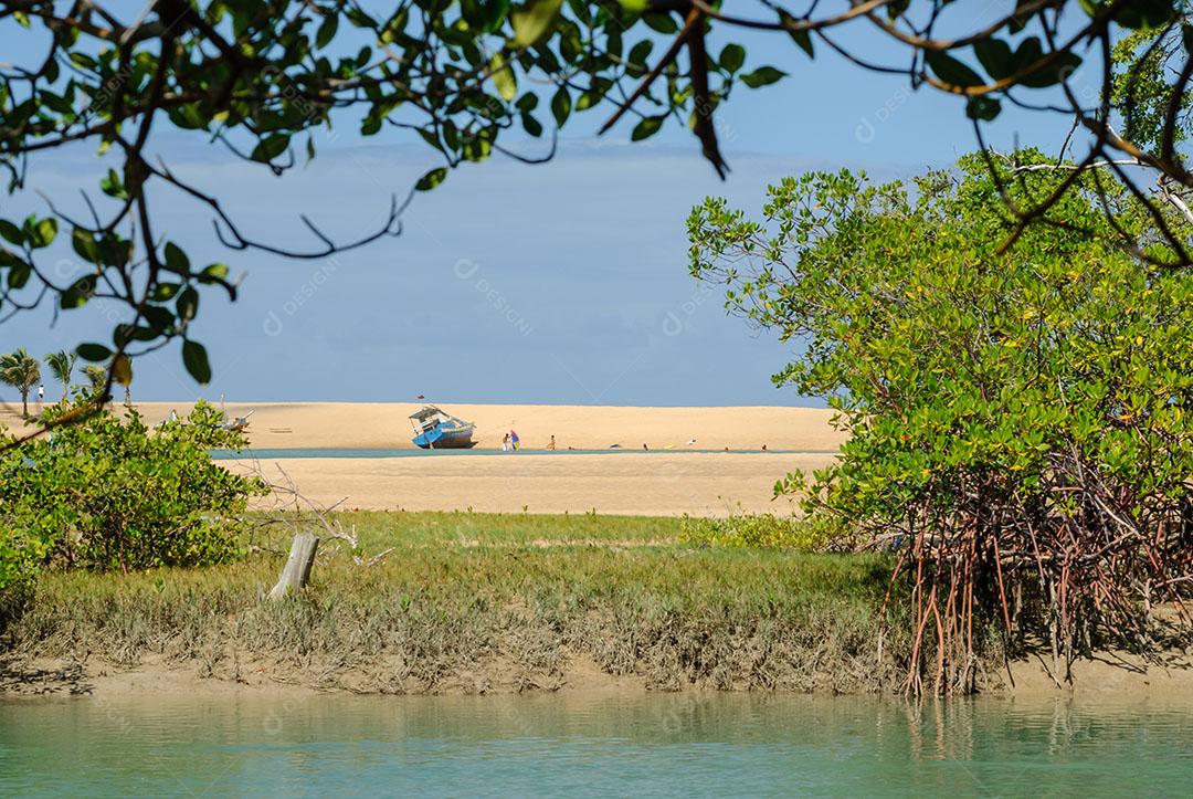 Praia Da Barra Vista De Árvores Imagem JPG