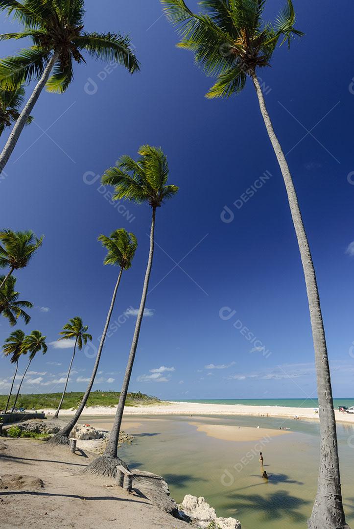 Ondas na Praia da Barra de Gramame João Pessoa Paraíba Brasil Imagem JPG