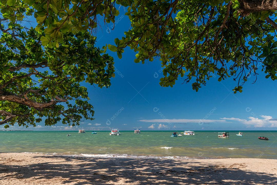 Ondas na Praia da Barra de Gramame João Pessoa Paraíba Brasil Imagem JPG