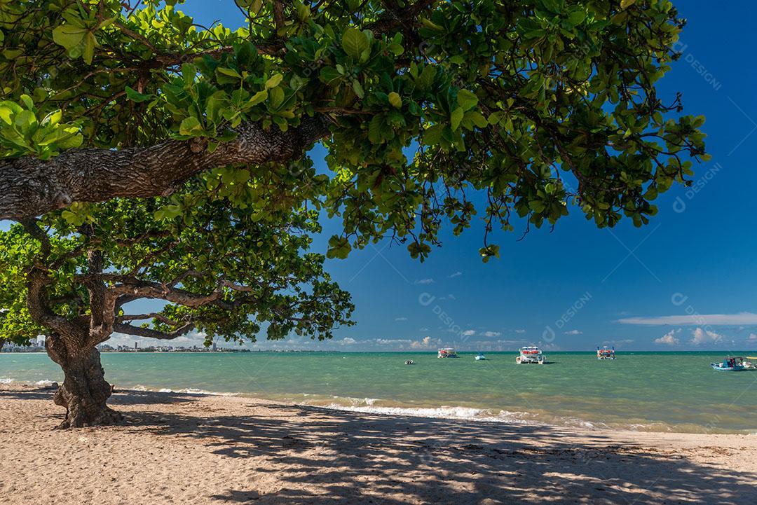Ondas na Praia da Barra de Gramame João Pessoa Paraíba Brasil Imagem JPG