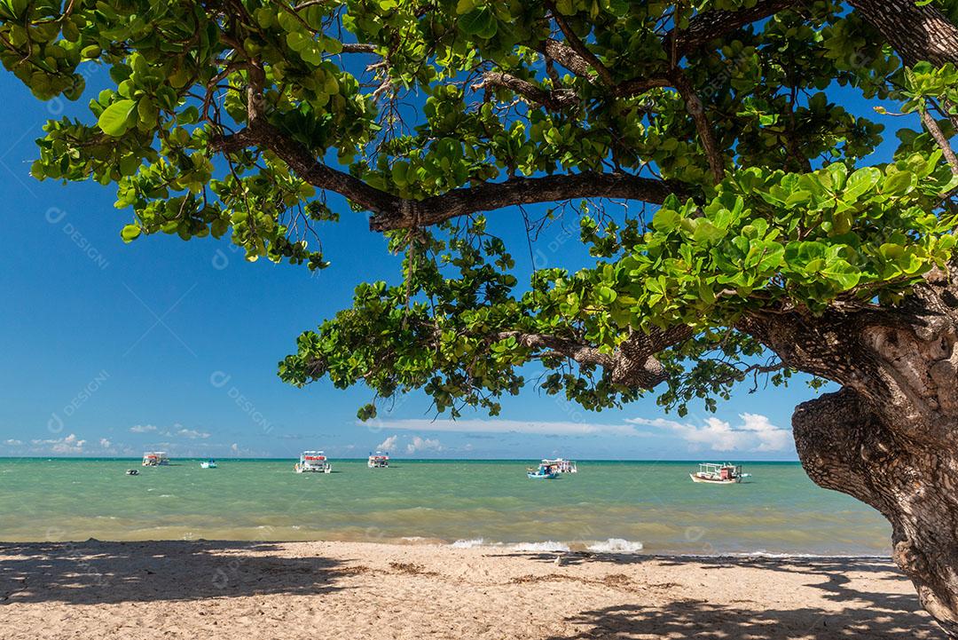 Ondas na Praia da Barra de Gramame João Pessoa Paraíba Brasil Imagem JPG