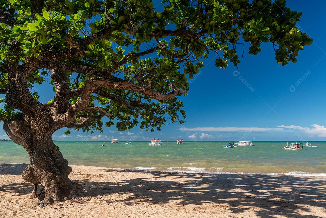 Ondas na Praia da Barra de Gramame João Pessoa Paraíba Brasil Imagem JPG