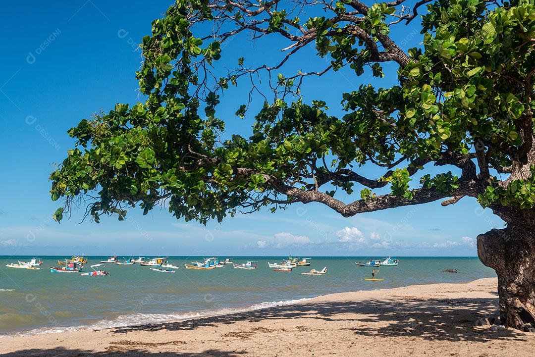 Ondas na Praia da Barra de Gramame João Pessoa Paraíba Brasil Imagem JPG