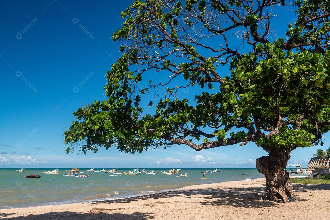 Ondas na Praia da Barra de Gramame João Pessoa Paraíba Brasil Imagem JPG