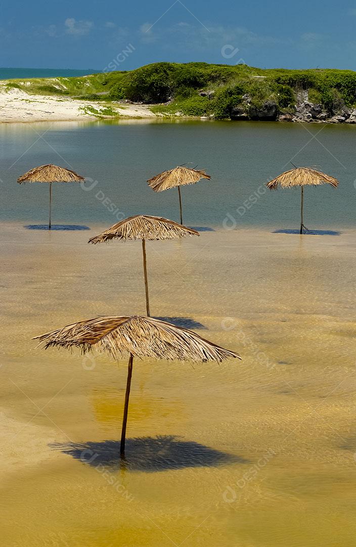 Ondas na Praia da Barra de Gramame João Pessoa Paraíba Brasil Imagem JPG
