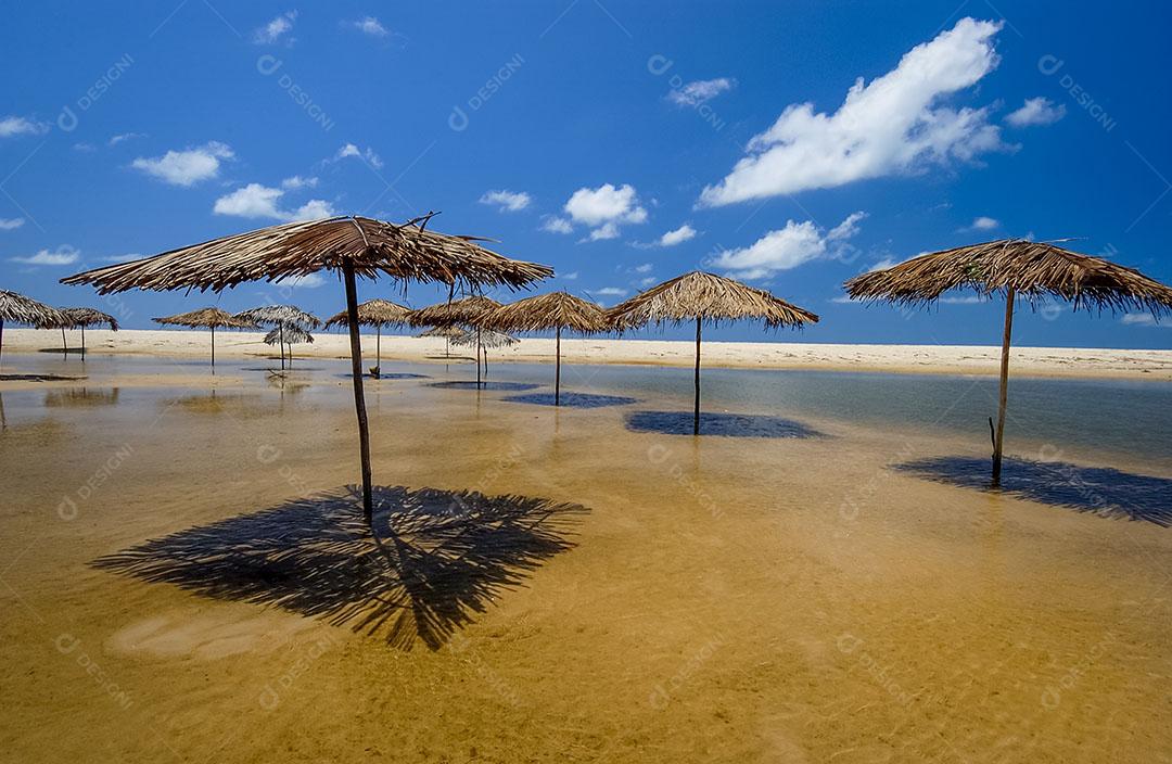 Ondas na Praia da Barra de Gramame João Pessoa Paraíba Brasil Imagem JPG