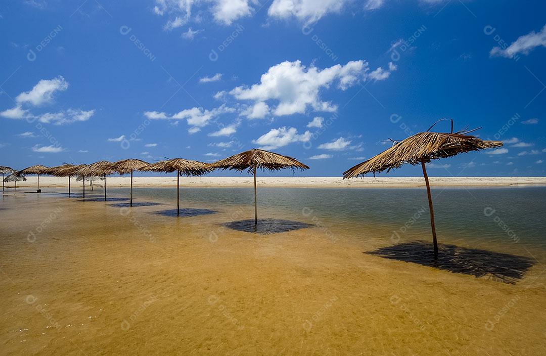 Waves at Barra de Grama Beach João Pessoa Paraíba Brazil Image JPG