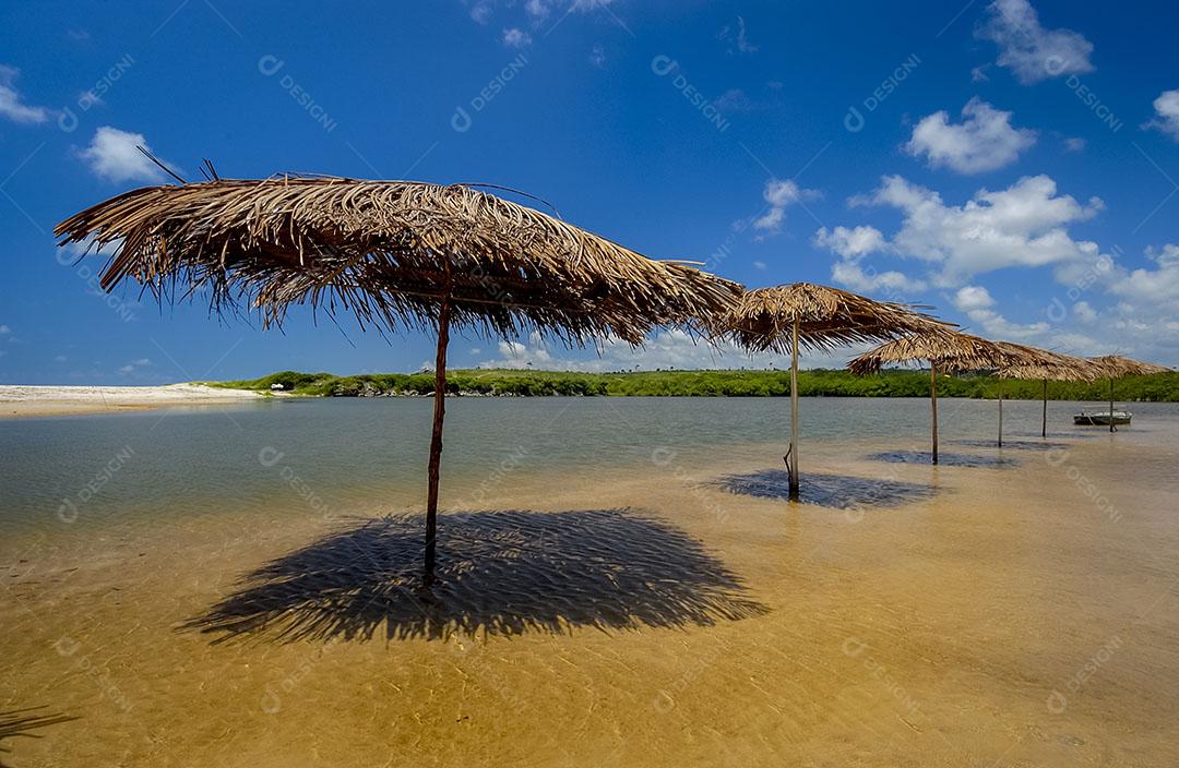 Ondas na Praia da Barra de Gramame João Pessoa Paraíba Brasil Imagem JPG