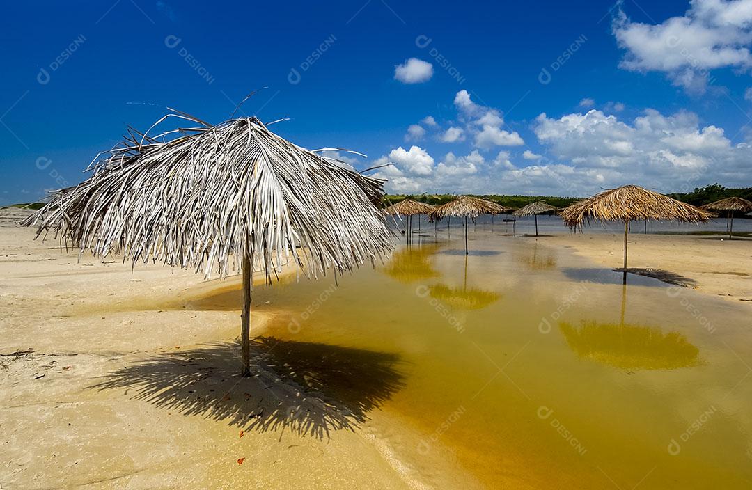 Ondas na Praia da Barra de Gramame João Pessoa Paraíba Brasil Imagem JPG