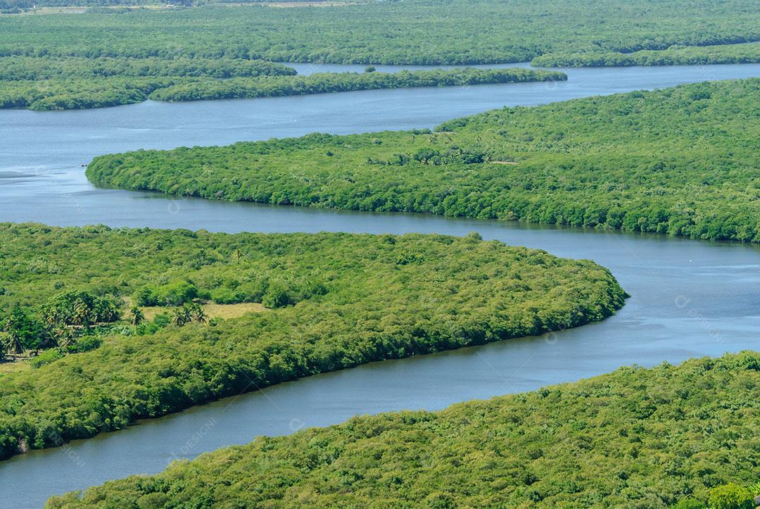 Foto Manguezal Rio Paraíba João Pessoa Paraíba Imagem JPG