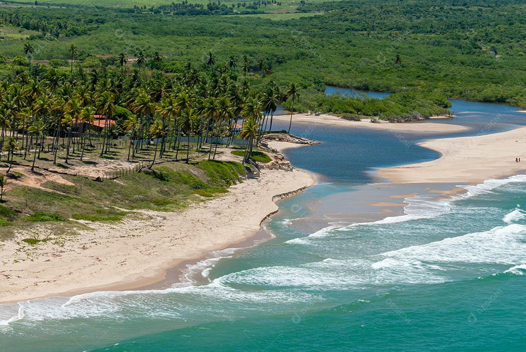 Foto Praia Bela Perto de João Pessoa Paraíba Árvores Imagem JPG