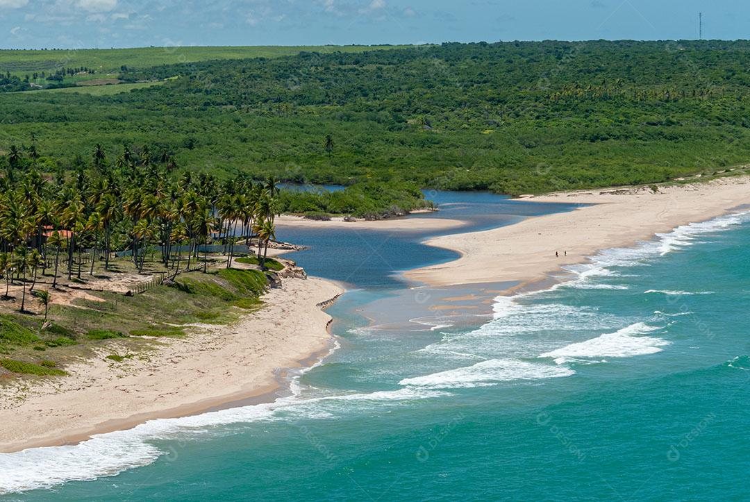 Foto Praia Bela Perto de João Pessoa Paraíba Árvores Imagem JPG