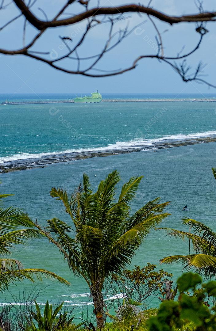 Pessoas Água Areia Recifes Fundo Praia Boa Viagem Recife Pernambuco Imagem JPG