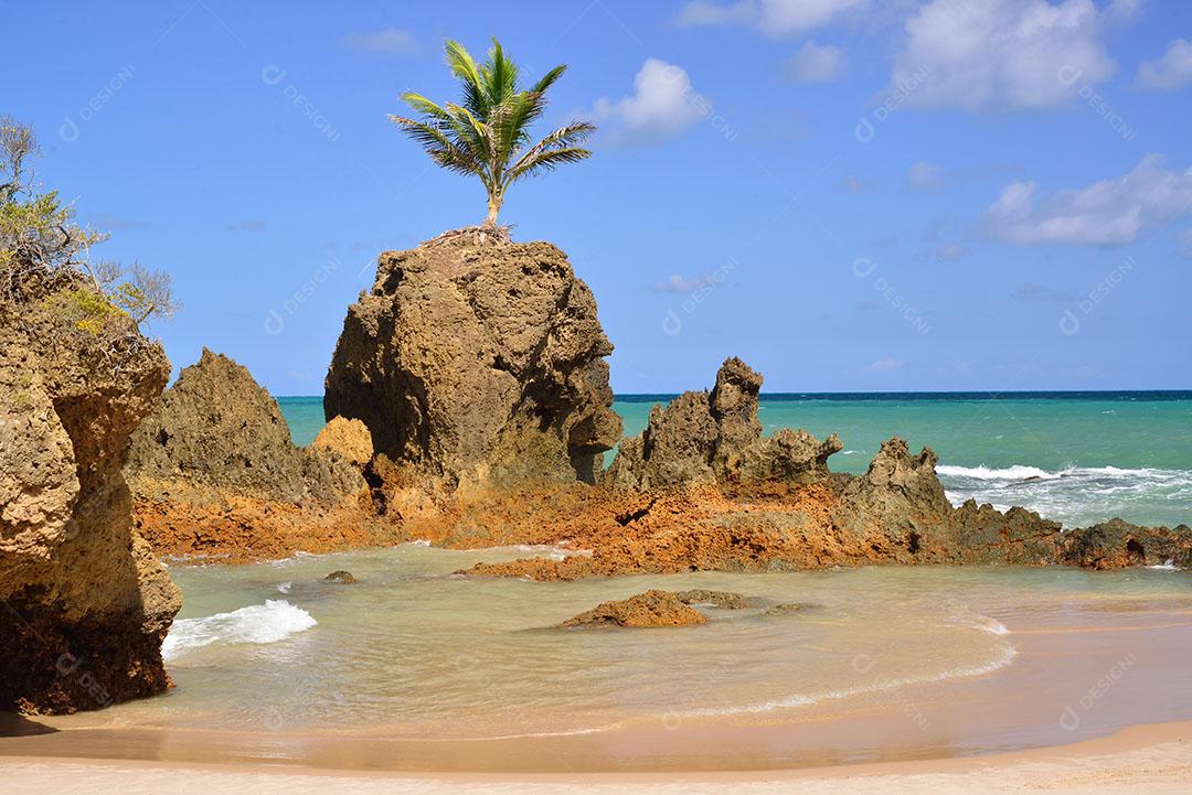 Praia Coqueirinho Conde Litoral Sul Estado Próximo João Pessoa Paraíba Imagem JPG