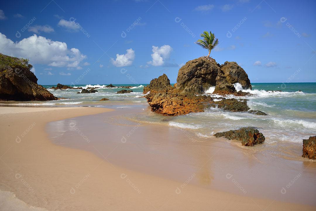 Praia Coqueirinho Conde Litoral Sul Estado Próximo João Pessoa Paraíba Imagem JPG